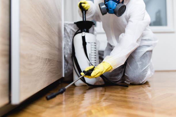 Best Pest Control for Homes  in Ansonia, OH