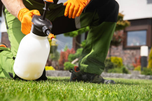 Best Exterminator Services  in Ansonia, OH