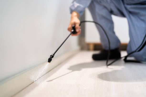 Flea Control Services in Ansonia, OH