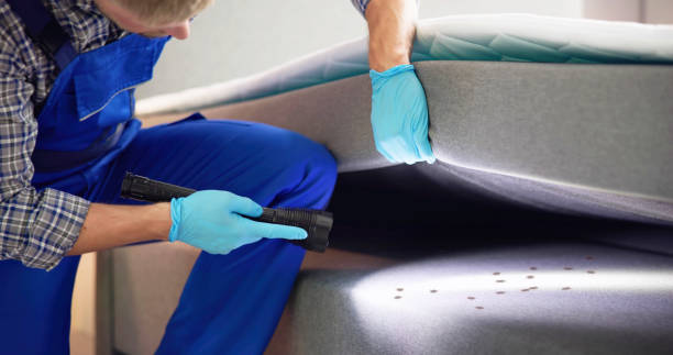 Reliable Ansonia, OH Pest Control Solutions