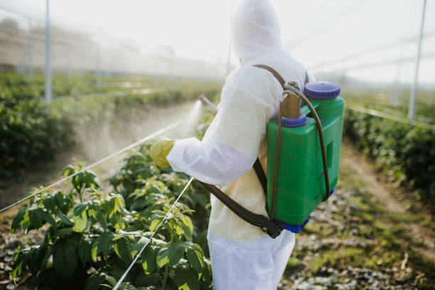 Best Emergency Pest Control  in Ansonia, OH